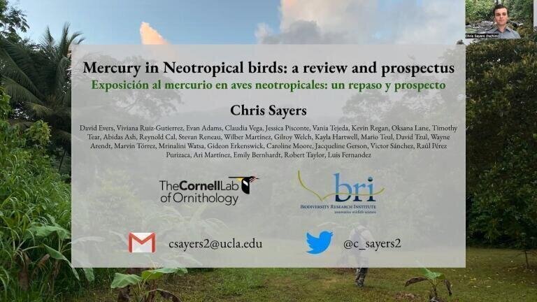 Mercury Exposure in Neotropical Birds: A Review and Prospectus